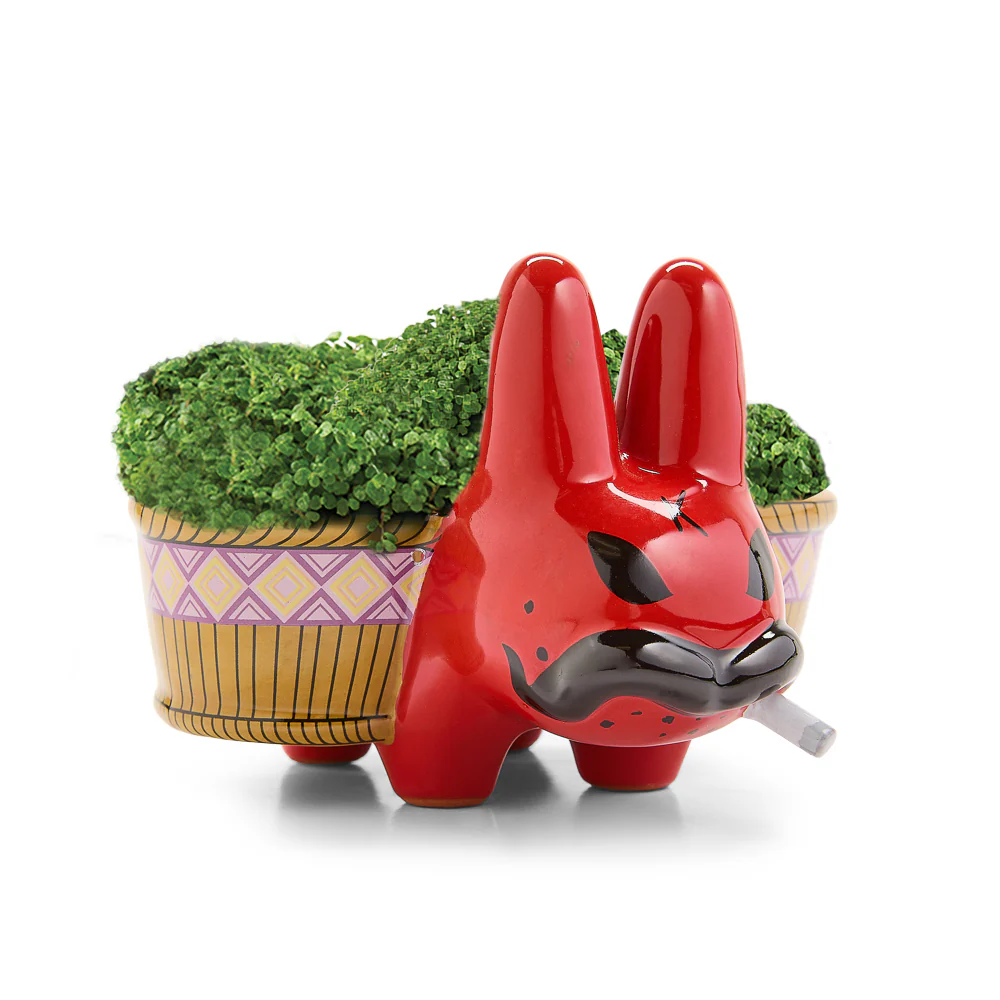 Chia Pet Smorkin’ Labbit - Smokin' Cool Blue & Red Edition Bundle (Limited Editions) - Image 10
