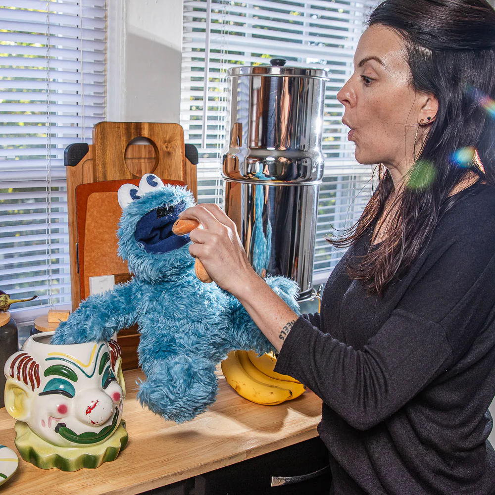 Sesame Street Cookie Monster 13” Interactive Plush - Image 11