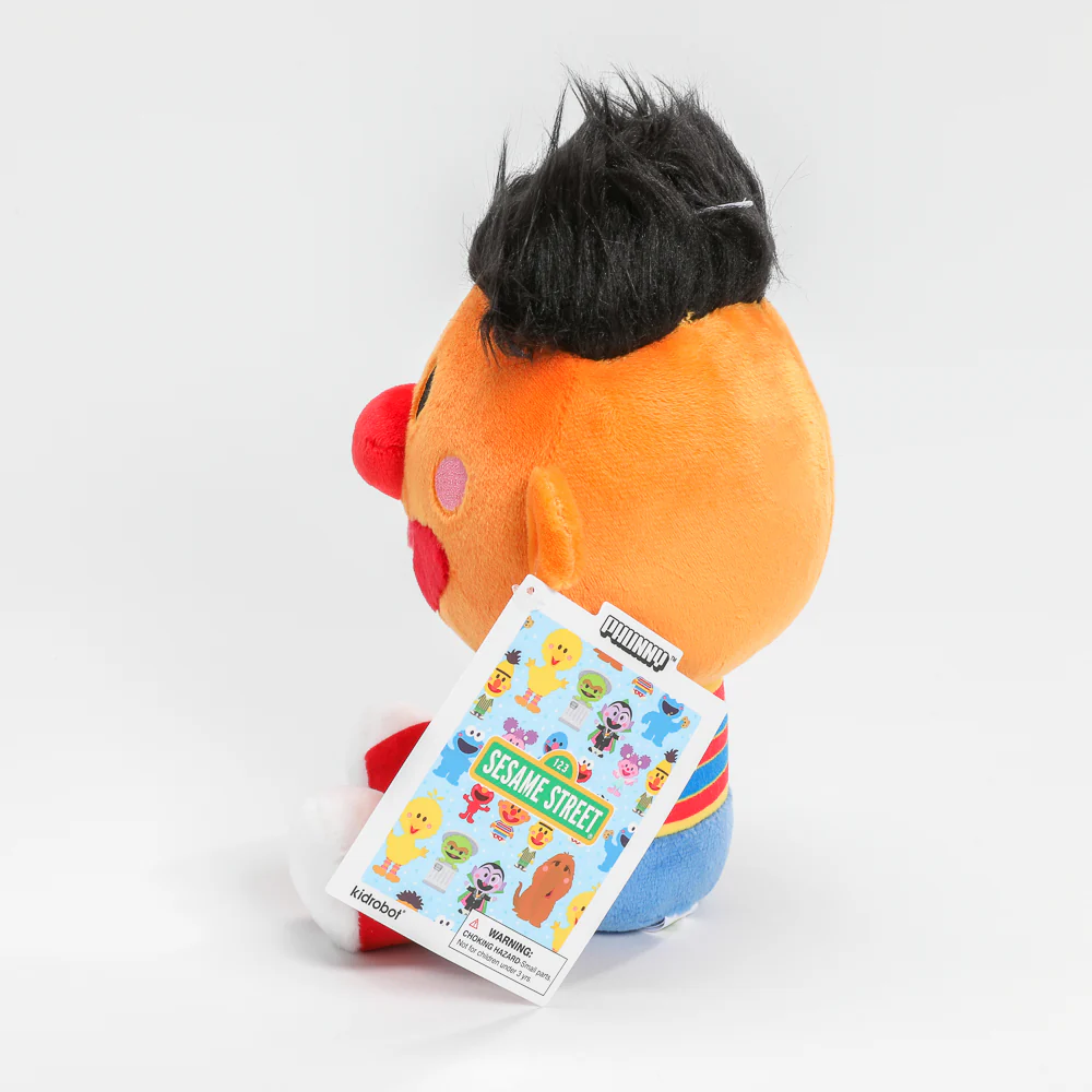 Sesame Street Ernie Phunny Plush - Image 10