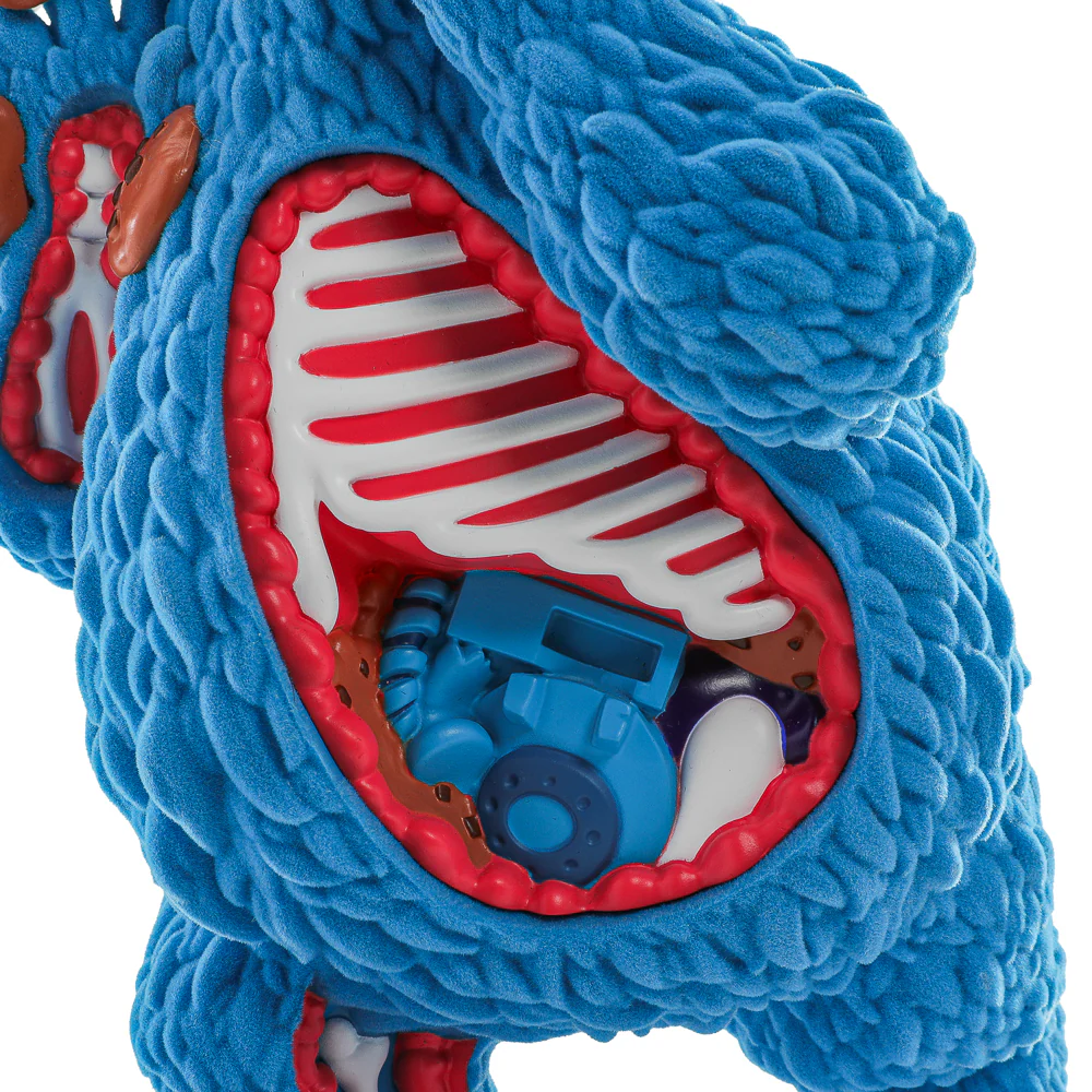 Sesame Street - Kaiju Anatomy Cookie Monster 8" Flocked Vinyl Art Figure - Image 3