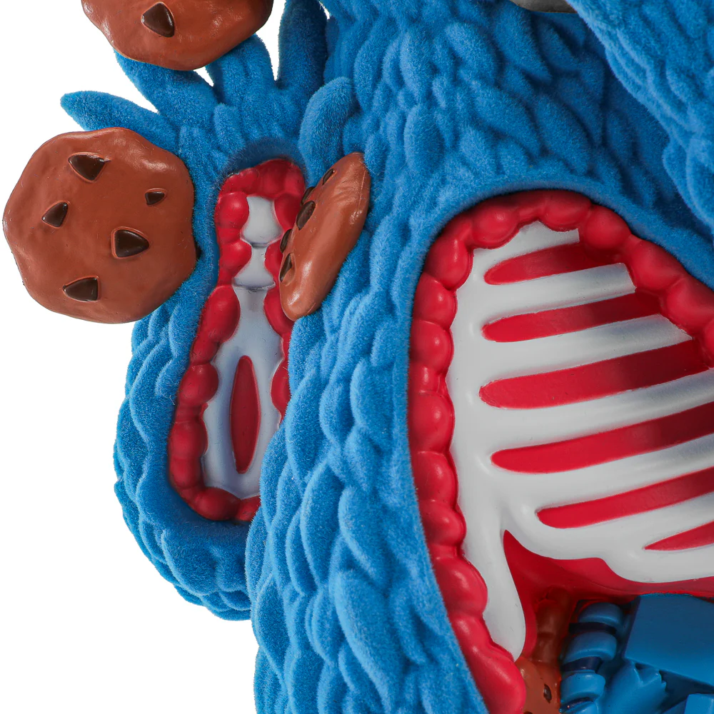 Sesame Street - Kaiju Anatomy Cookie Monster 8" Flocked Vinyl Art Figure - Image 4
